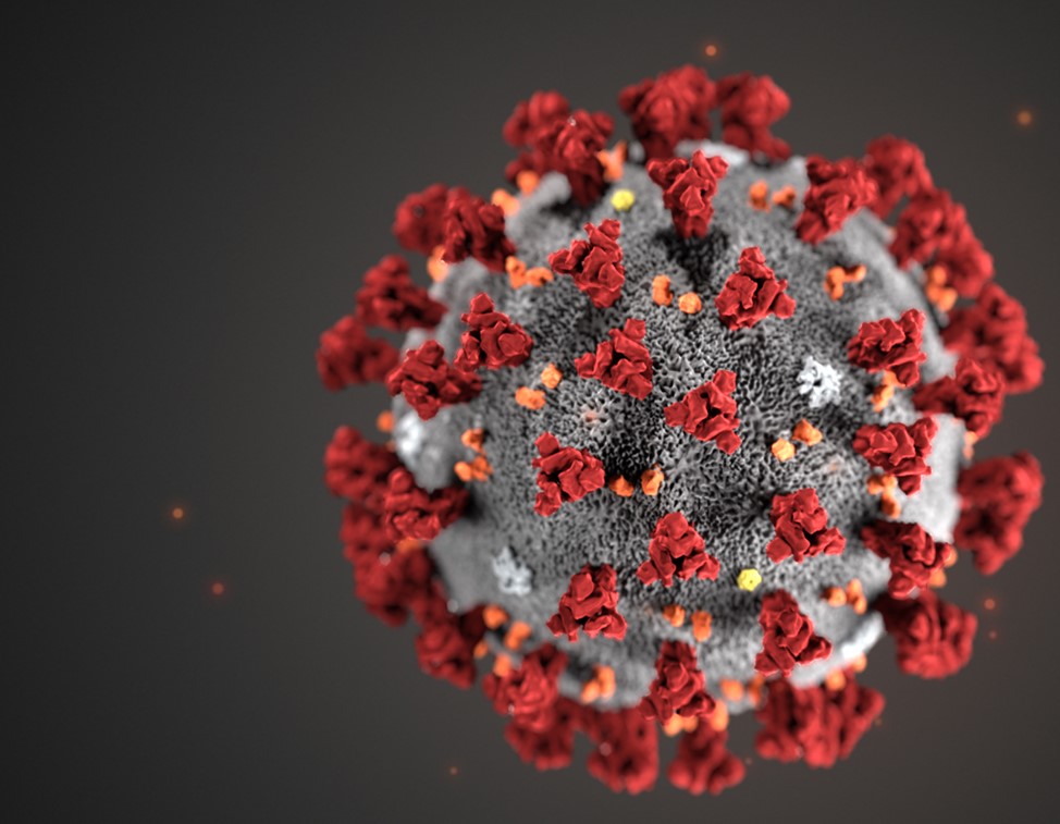 Эрдэмтэд 1.7 тэрбум хүн коронавируст халдвараар өвчлөх эрсдэлтэй гэжээ