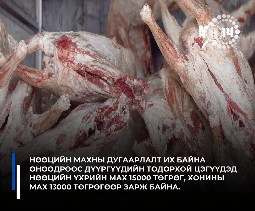 Нөөцийн махны дугаарлалт их байна